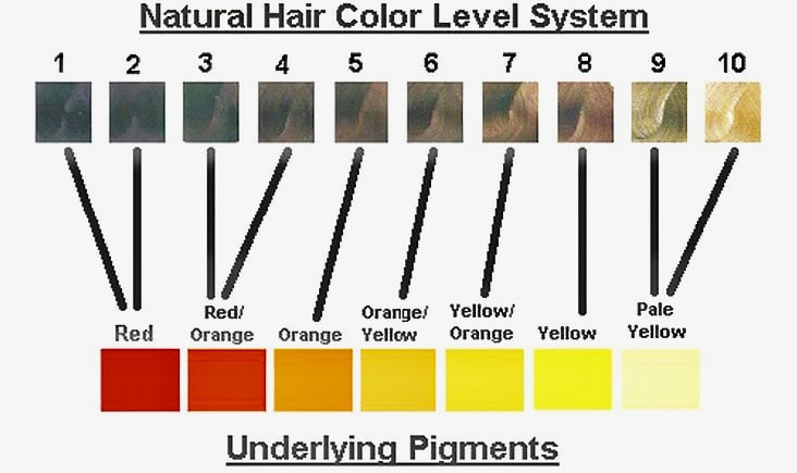What is your natural hair color level ? - Hairitage Family Salon