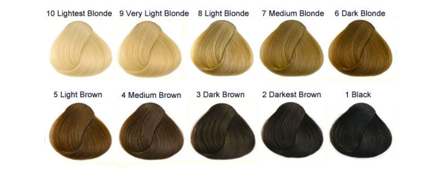 What Is Your Natural Hair Color Level Hairitage Family Salon